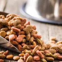 愛 犬 の ドッグフードのお悩み相談&情報交換ルーム