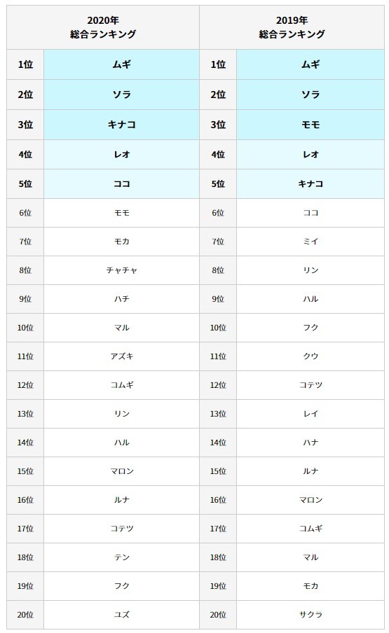 猫の名前ランキング で人気なのは