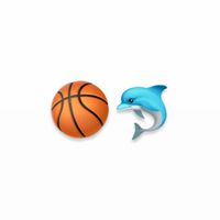 りゅせ🏀🐬の部屋