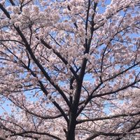 【産近甲龍&関関同立】一般入試 みんなで合格！