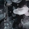 :  ↻  ⌒ ⌒  「   じゃあ  逃げよう   ？   」  ＿   全也