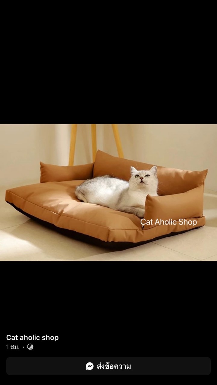 CatAholic shop