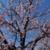 女装掲示板