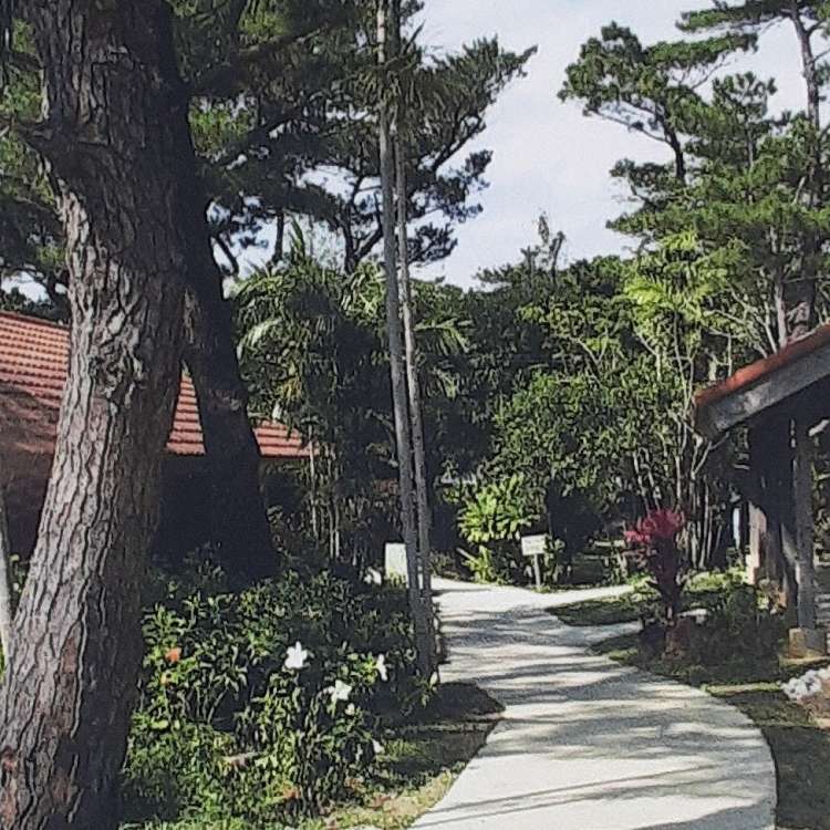 写真 宮古島市体験工芸村 ミヤコジマシタイケンコウゲイムラ 平良 陶芸 クラフト By Line Place