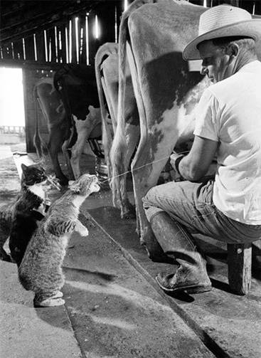 10 Foto Vintage Bikin Terenyuh: Ada Rasa Haru Saat Melihatnya
