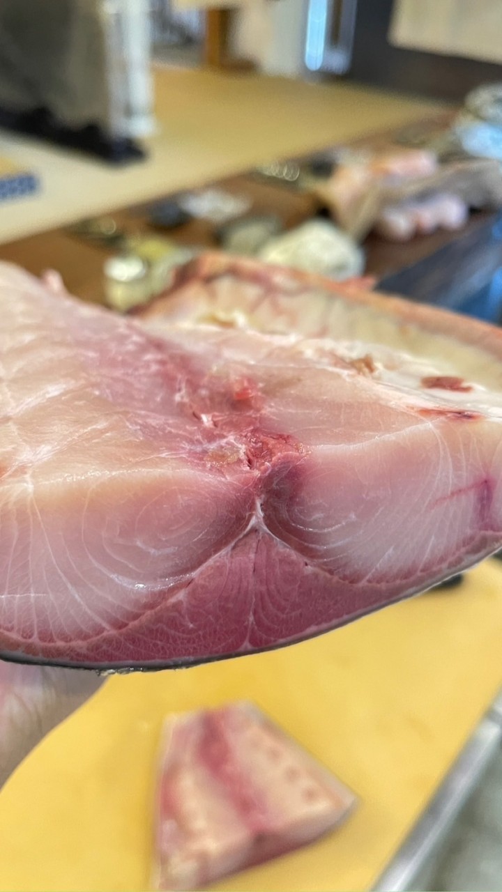 料理中的料理人熟成鹽魚處理、刀具討論、釣魚討論