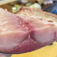 料理中的料理人熟成鹽魚處理、刀具討論、釣魚討論
