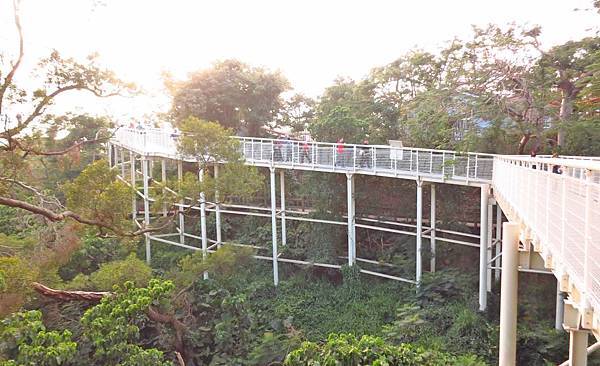 【彰化旅遊】八卦山天空步道-全長1公里底下祼空的天空步道