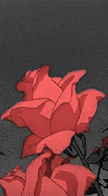 งานแต่งสาธารณะ💗🌷