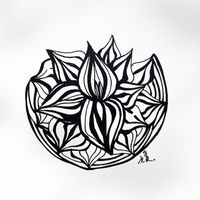 愛與和平每日冥想練習Joy & Peace