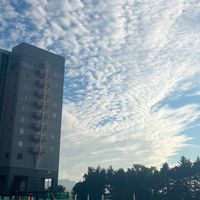 【札幌】40歳前後⭐️同世代で雑談⭐️