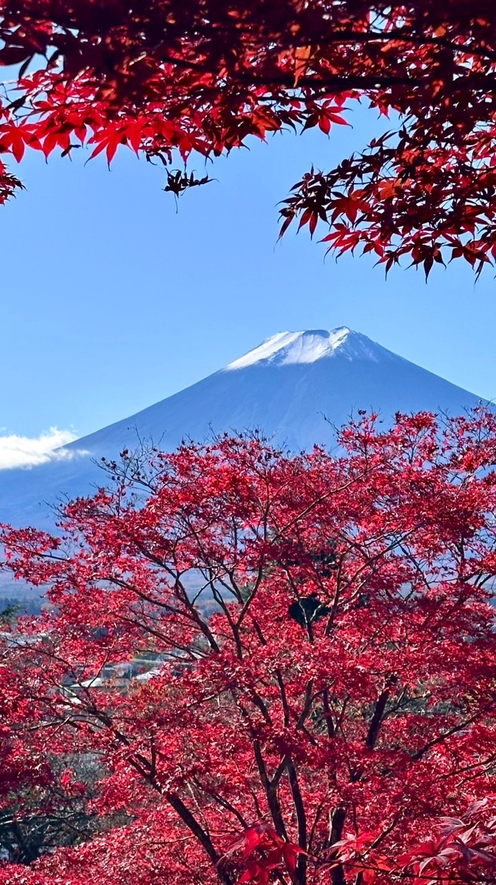 Daikyou