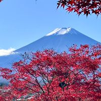 Daikyou