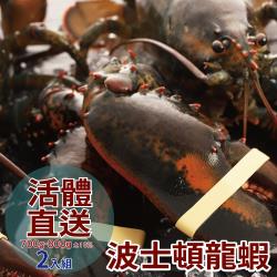 ◎龍蝦極品、鮮甜多汁|◎蝦敖肥美|◎非常營養，高蛋白低脂肪品牌:無類型:蝦蟹貝類種類:龍蝦/白蝦/草蝦/蝦類食用方式:烹調再食用內容量(g/份):700-800g±10%組合說明:2入活體直送加拿大波