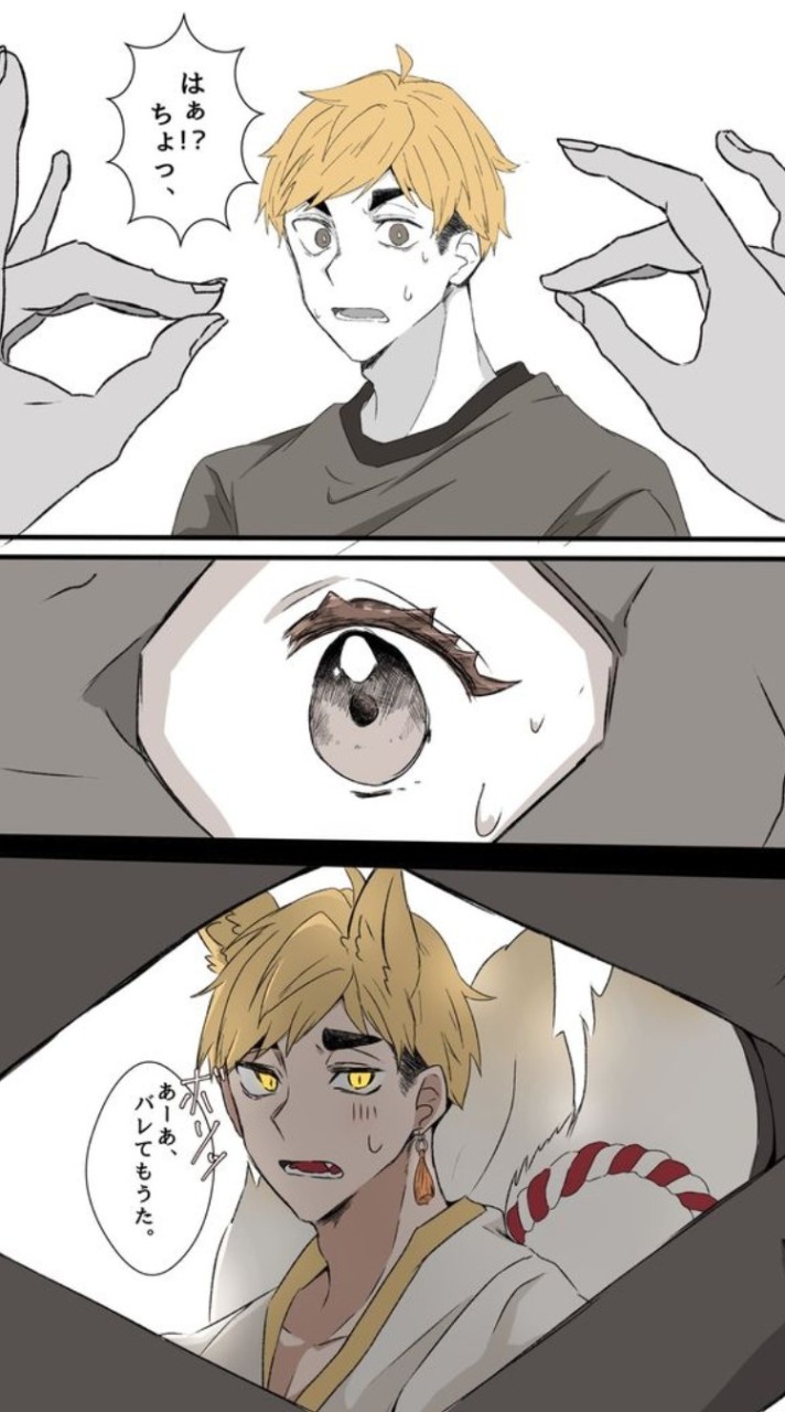 [ハイキュー!!] 狐の窓  也