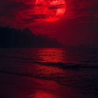 全緩だにょ