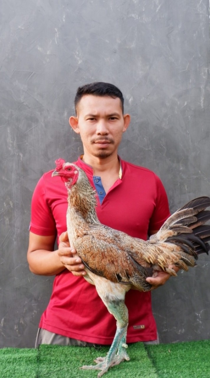 เอ็ม  อ.เจริญดี