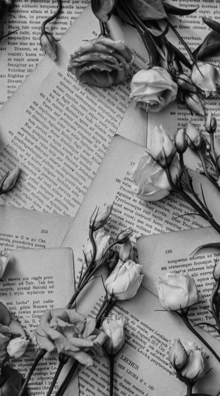 全緩　＊　歌声ハント　🎤🎤〽️