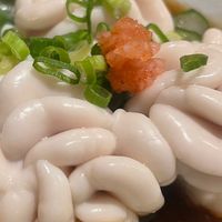 【ニコ生】あーちゃんa.k.aしらこぽんず【本人作成】