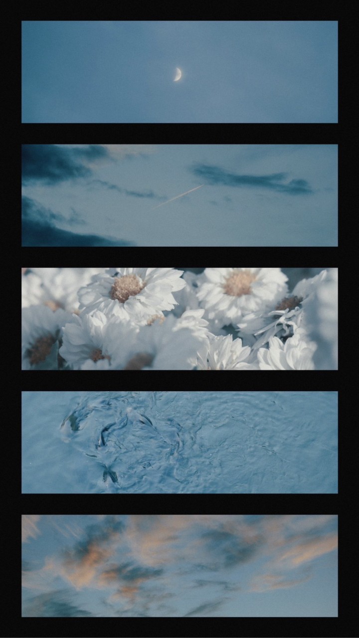 𓆩︎✧𓆪のオープンチャット