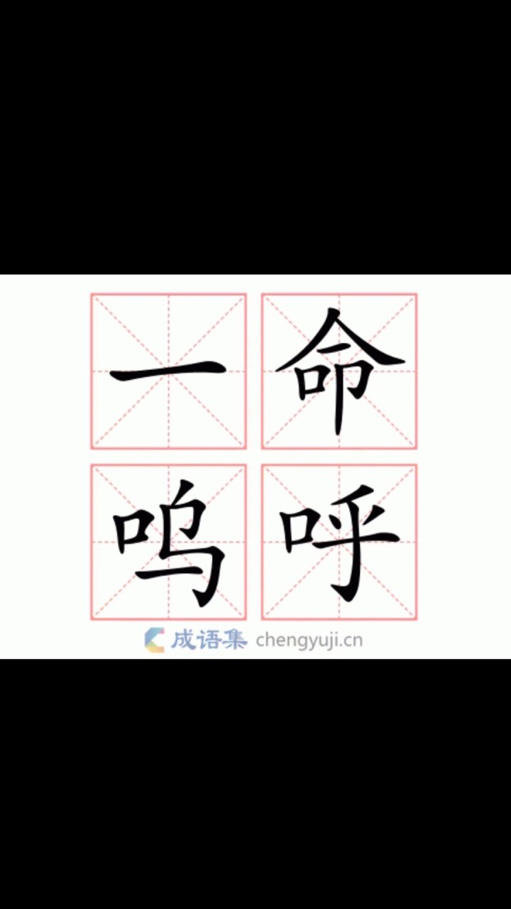 社安網夥伴討拍區