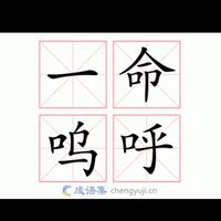 社安網夥伴討拍區