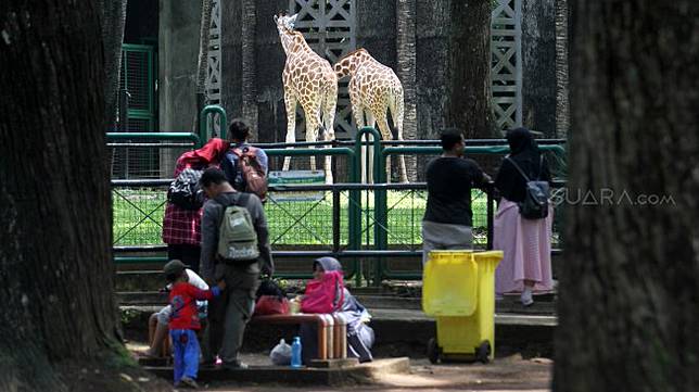 Hari Ini Sampai Minggu Gratis Piknik Naik Bus Transjakarta