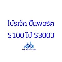 ปั้นพอร์ต $100 ไป $30,000 รุ่นที่ 1