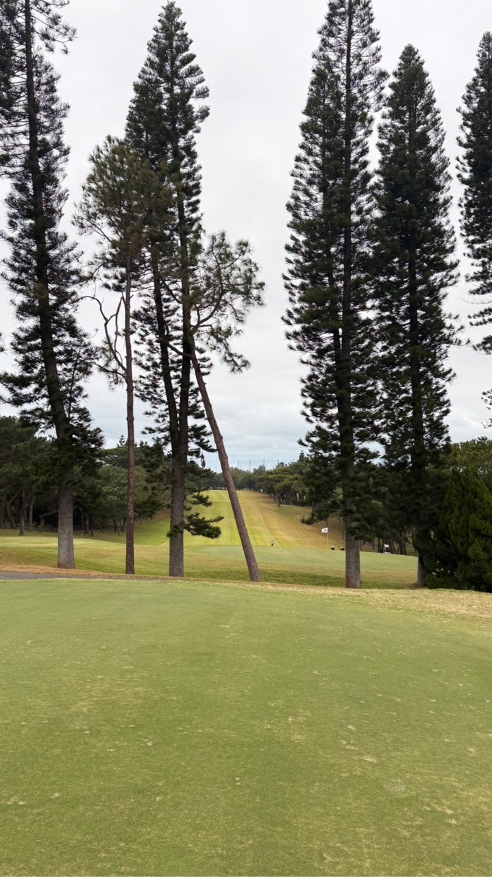 Vivien教練的下場團⛳️