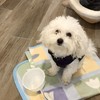 普隆宮角落小伙伴群