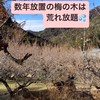 新城市「川売」の梅農園を守りたい！漬物製造業許可取得し無農薬梅干しを製造販売し消滅可能都市に活力を！