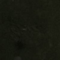 ⭐交你大_校園交流版