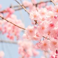 Mia日韓購物趣