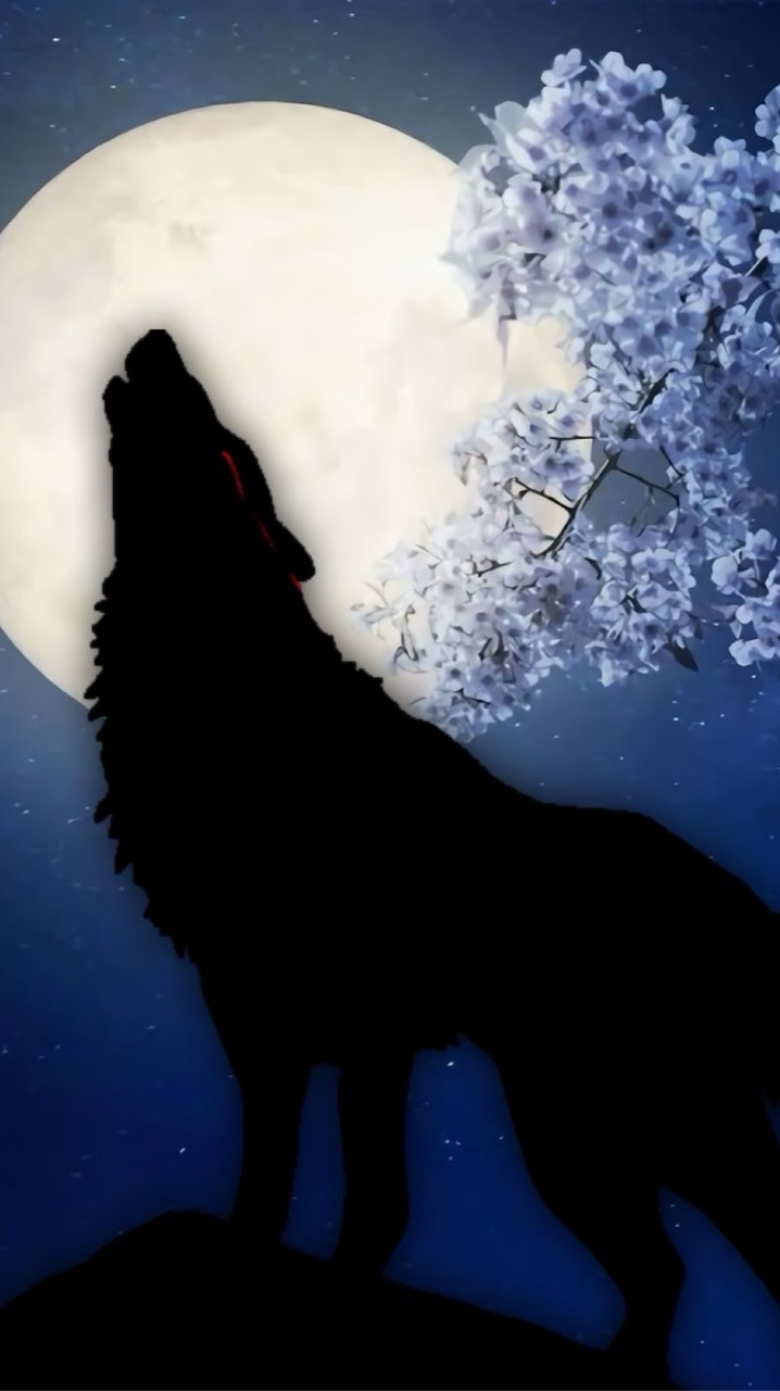 5/9アニソンFES！(ポケカラ)