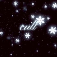 cult戰隊