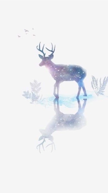 小🦌斑比粉絲團