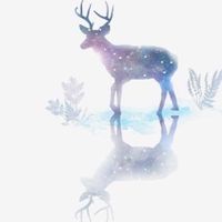 小🦌斑比粉絲團