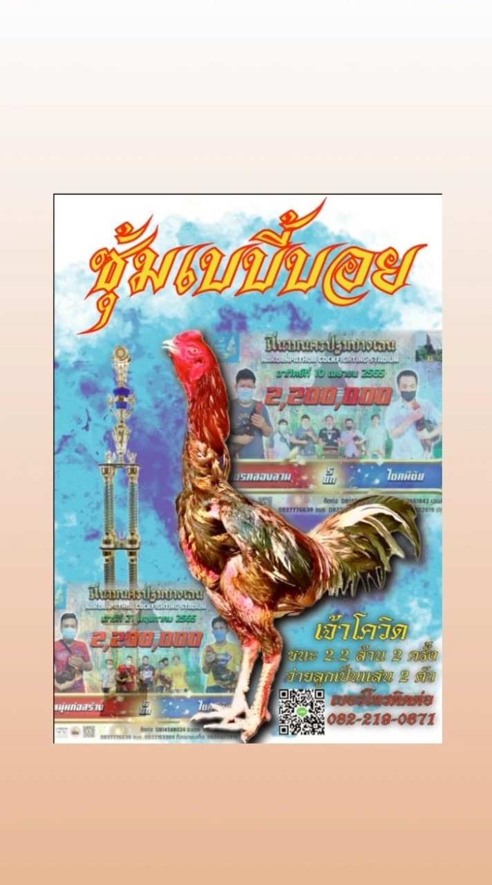 ซุ้มเบบี้บอย🐓