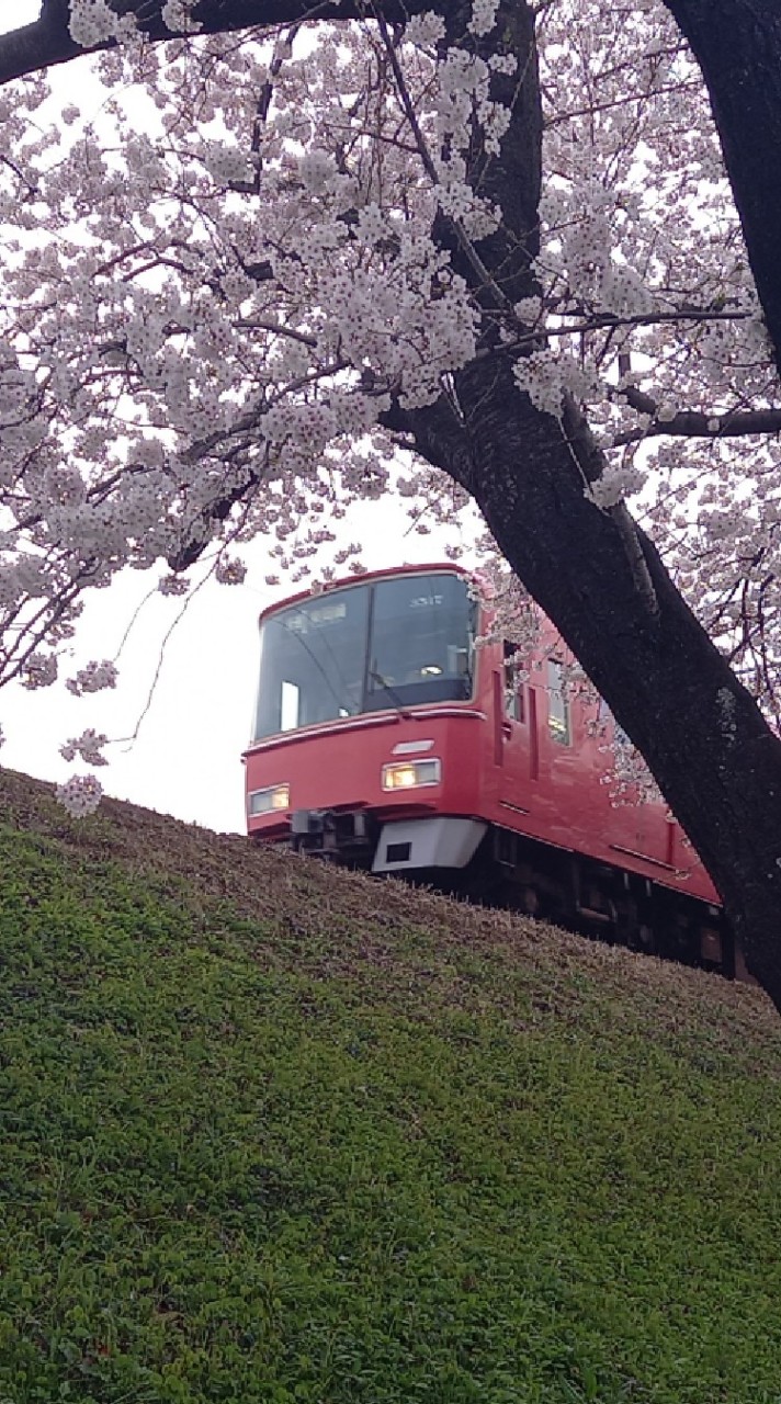 OpenChat 鉄道初心者集まれ～