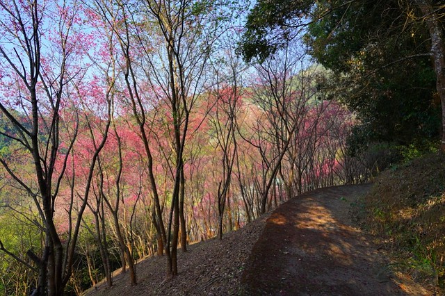 佛慈山靜觀精舍