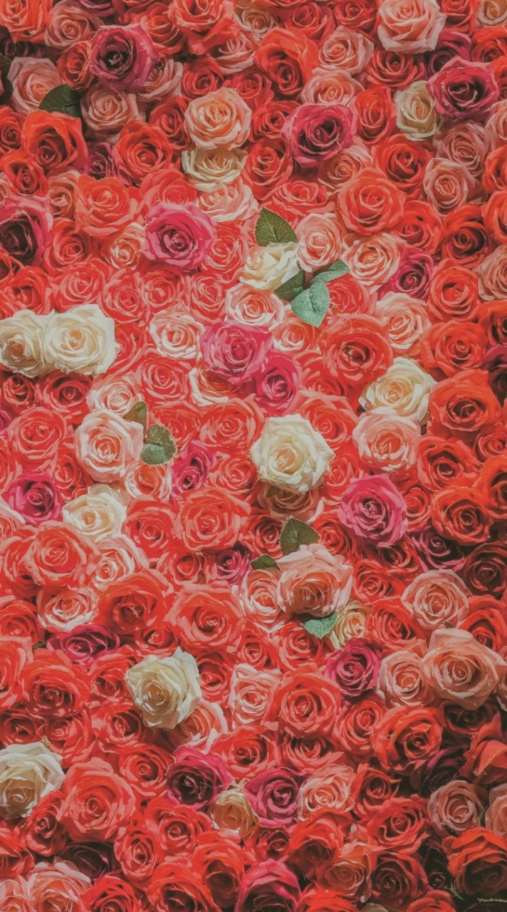 心暖花開