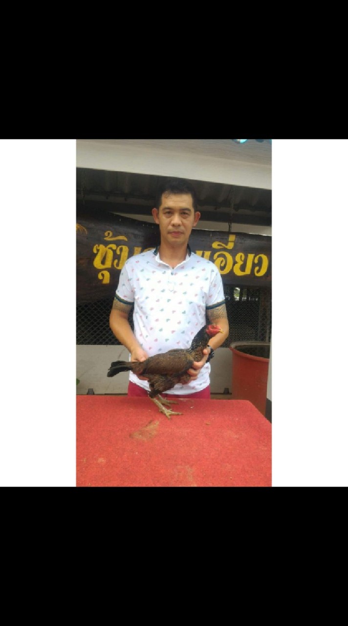 ซุ้มณปพลก๋อยง่อนเยียร์🐓