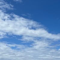 2023保育の方法及び技術Aクラス