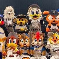 プロ野球雑談部！！