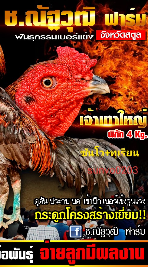 ช.ณัฐวุฒิฟาร์ม