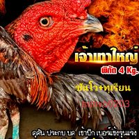 ช.ณัฐวุฒิฟาร์ม