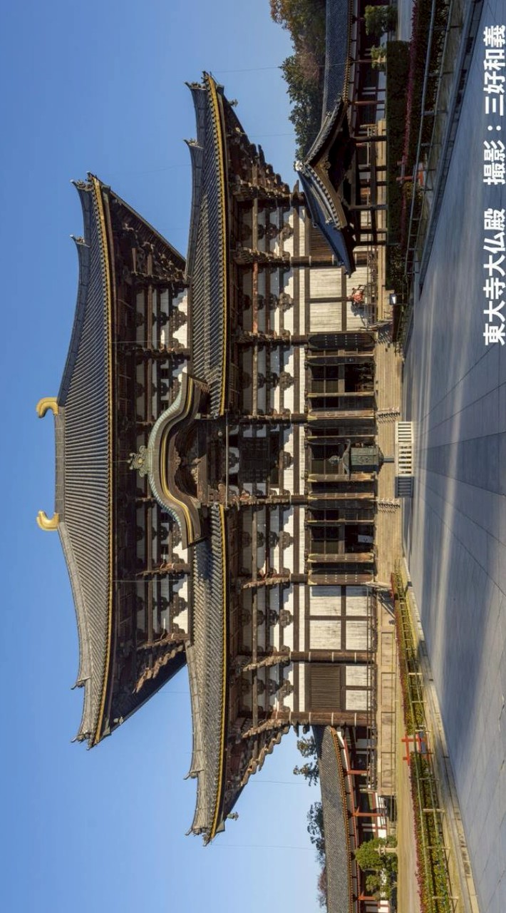 🌍️アヒルお坊ちゃま学園大学🌍️(雑談、現代社会、歴史、愚痴論)