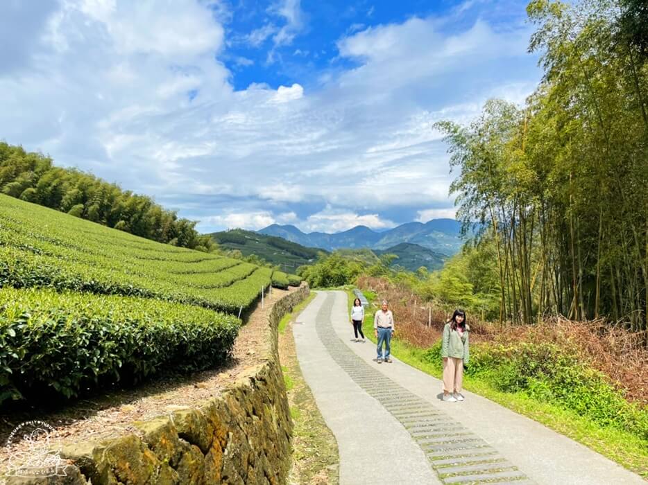 二延平茶霧步道