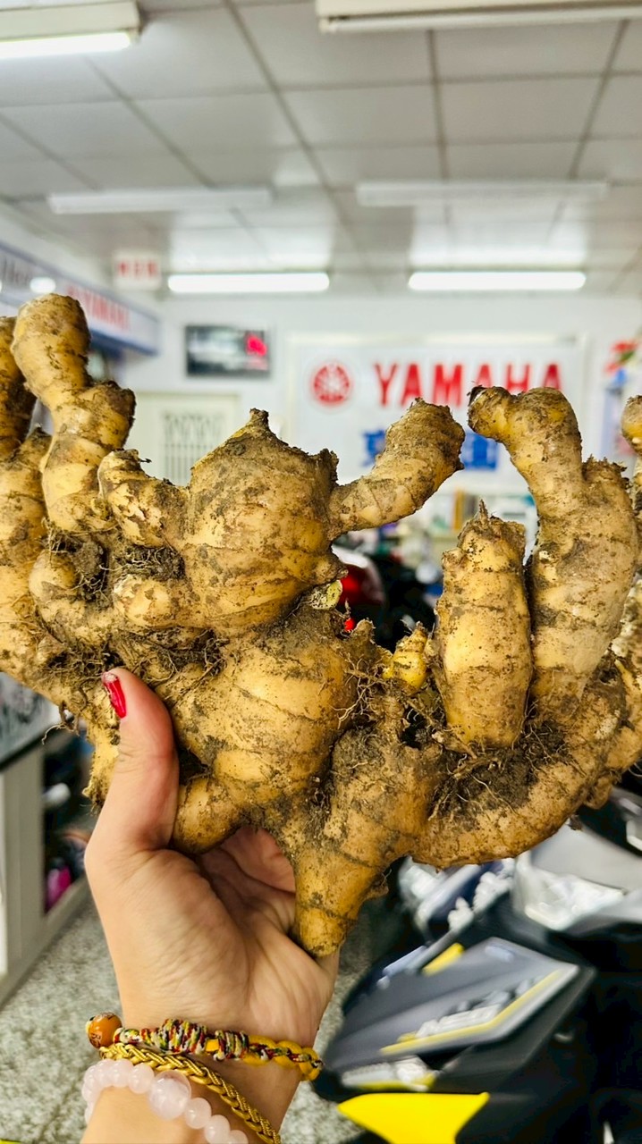 台東小農現採直送社群