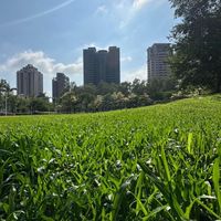 代付系統